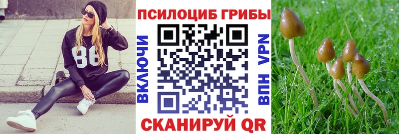 купить закладку  Томари  Галлюциногенные грибы мухоморы 