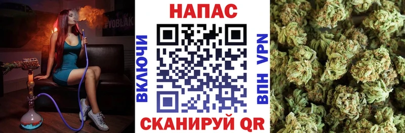 Шишки марихуана план  закладки  Томари 